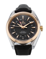 Omega Aqua Terra 150m Gents 231.23.43.22.06.001